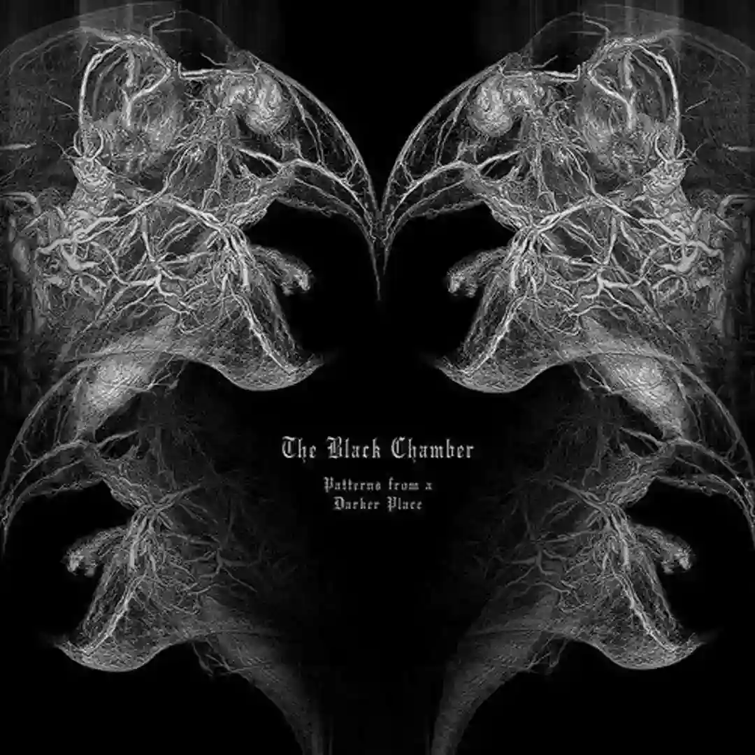 The Black Chamber (Pattern 2) cover