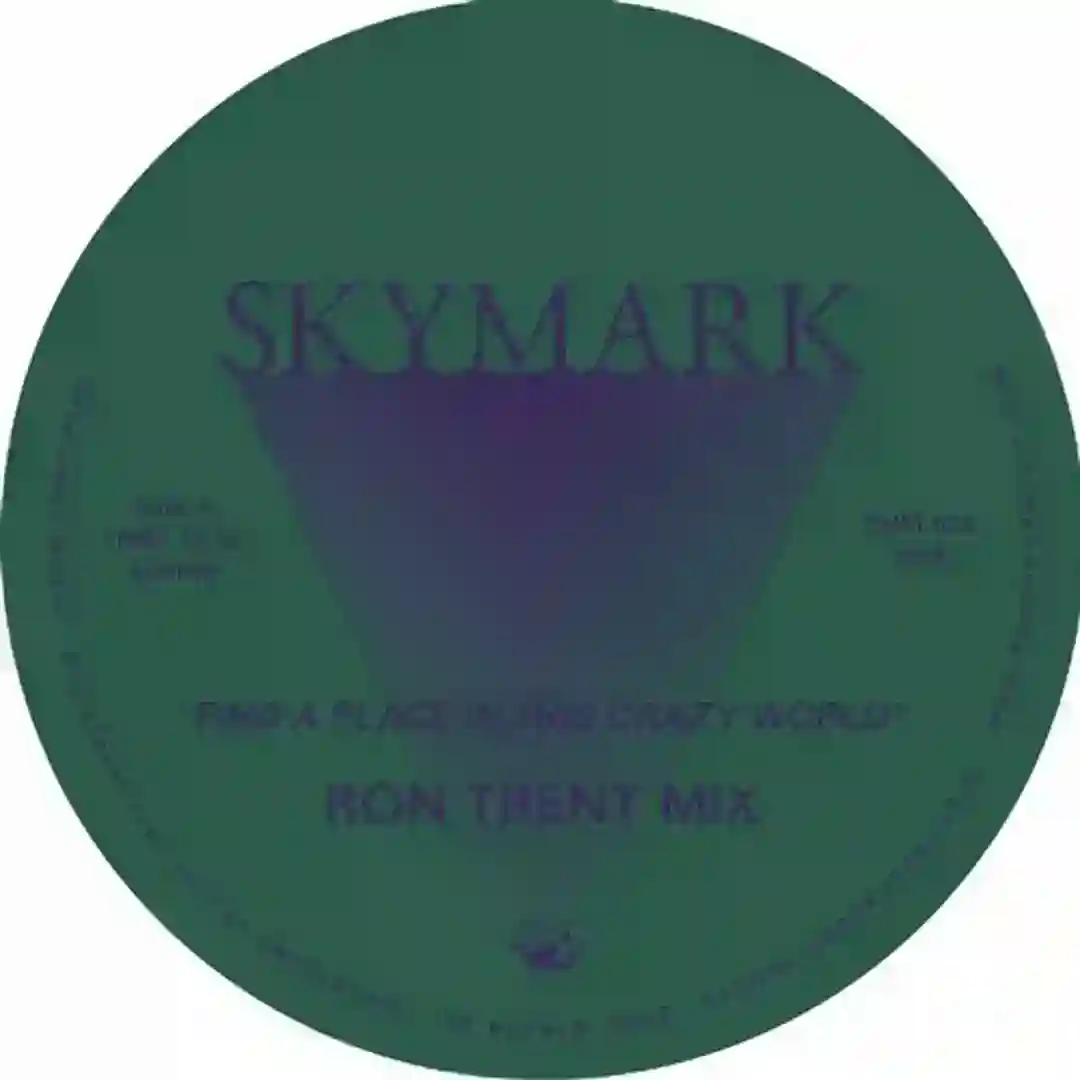 Find a Place in This Crazy World (Ron Trent Mix)-electrobuzz.net cover