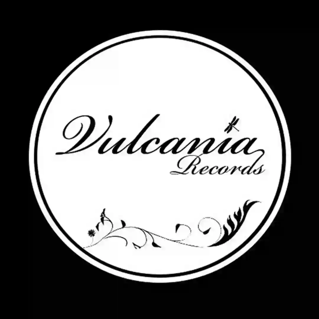 Vulcania Anniversary (Original Mix) cover