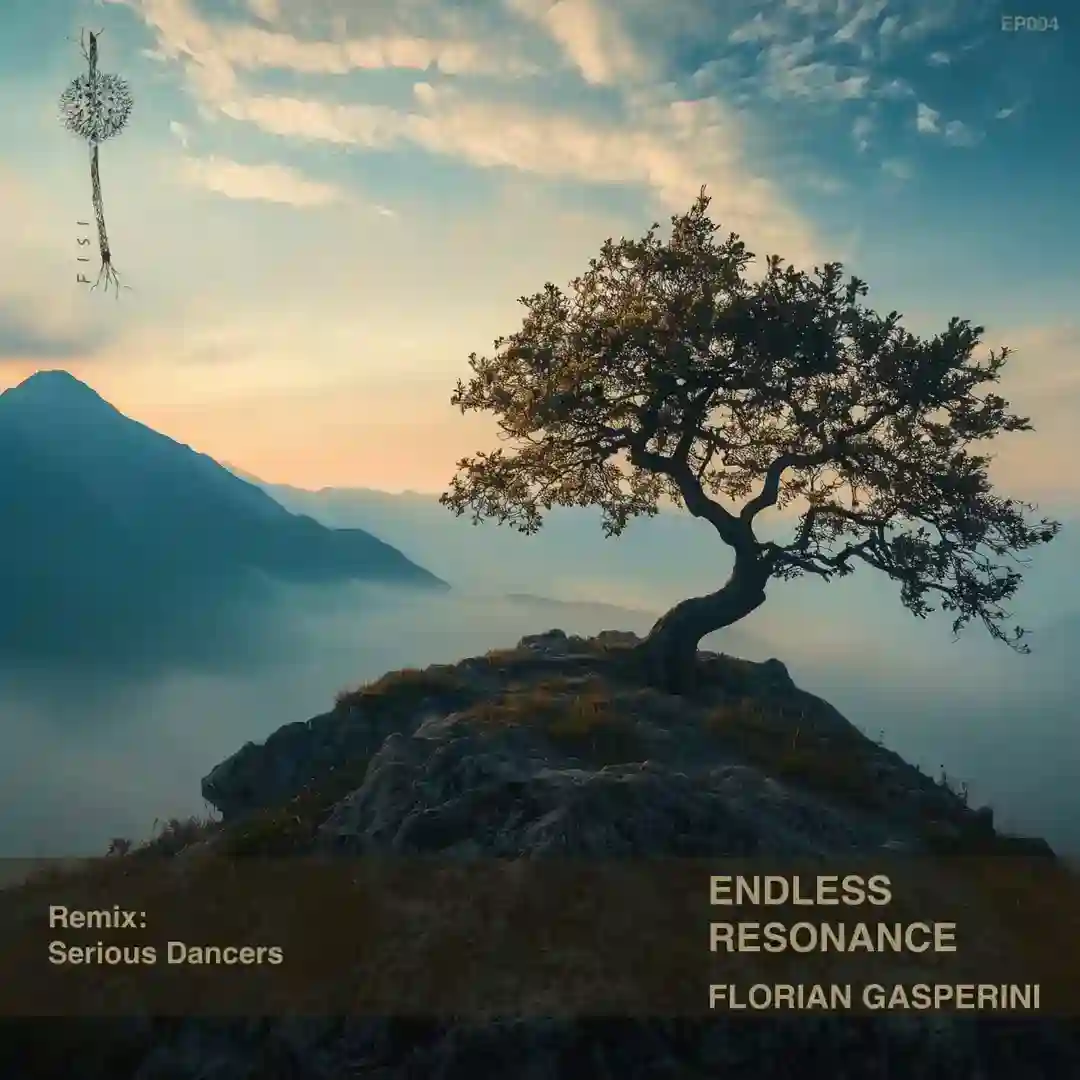 Perpetual Reverberation (Serious Dancers Remix) cover