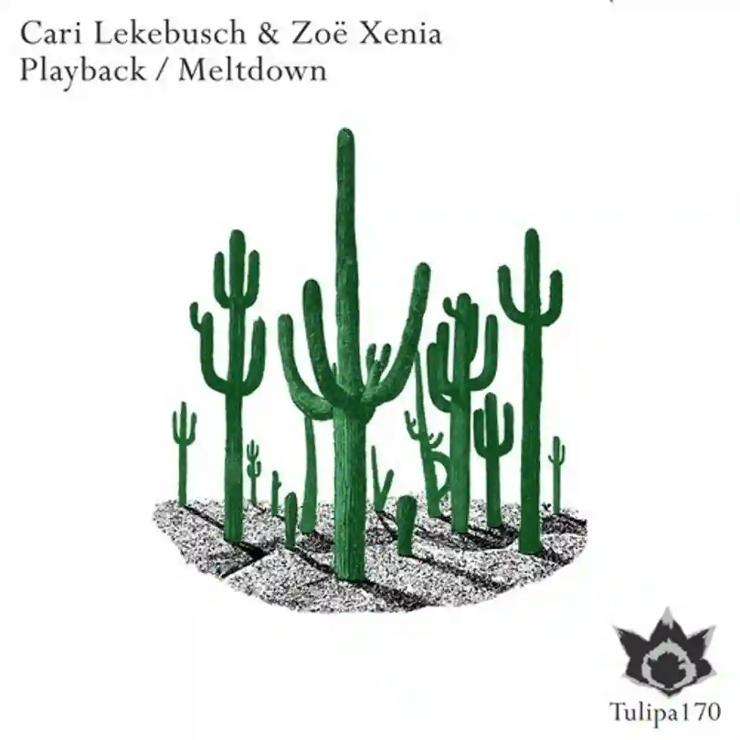 Playback (Edit Two) (Original Mix) cover
