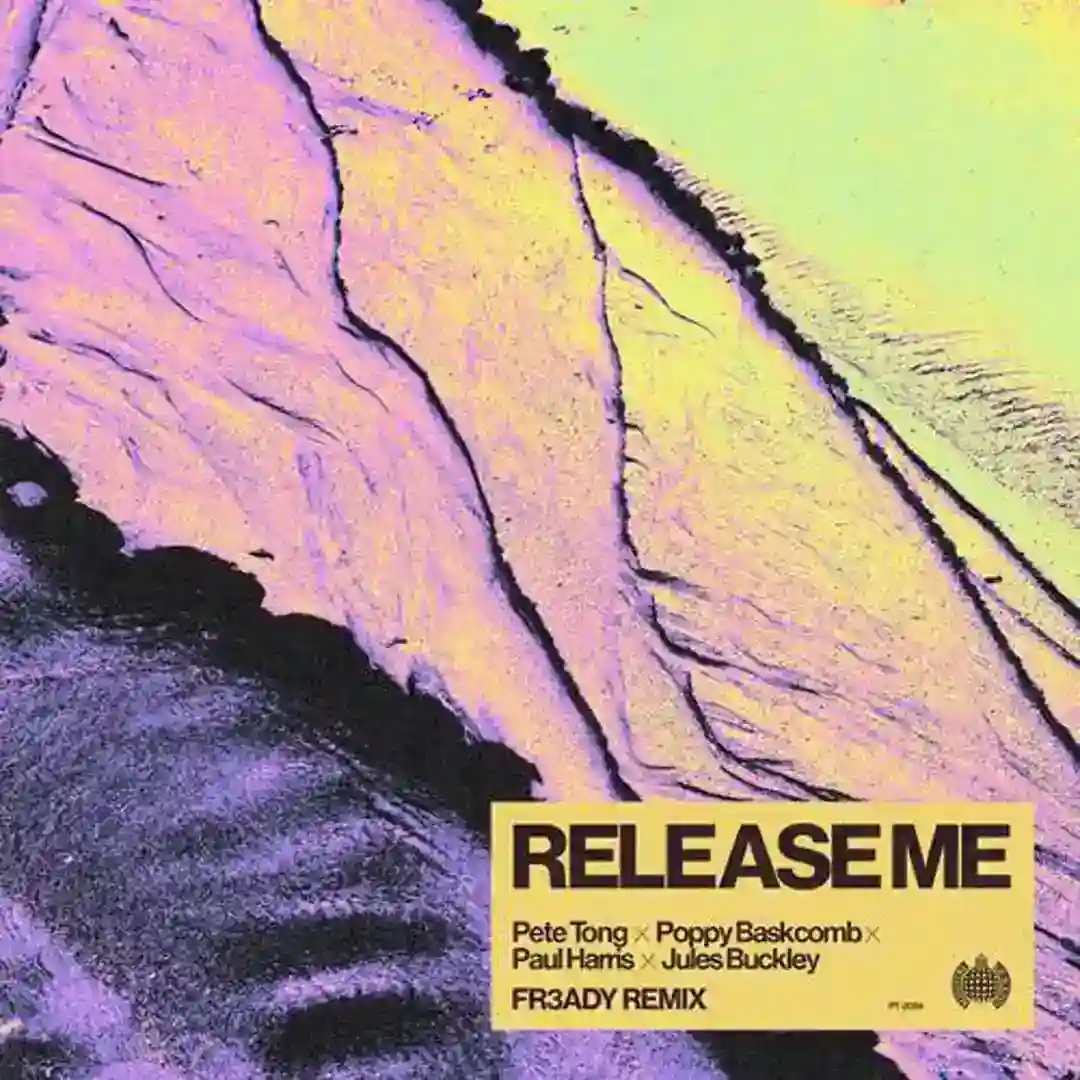 Release Me (FR3ADY Extended Remix) cover