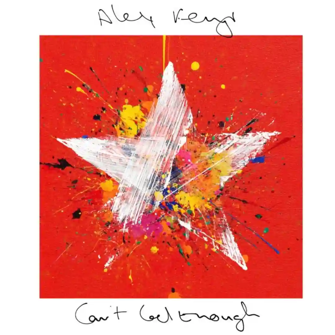 Can't Get Enough (Extended Mix) cover