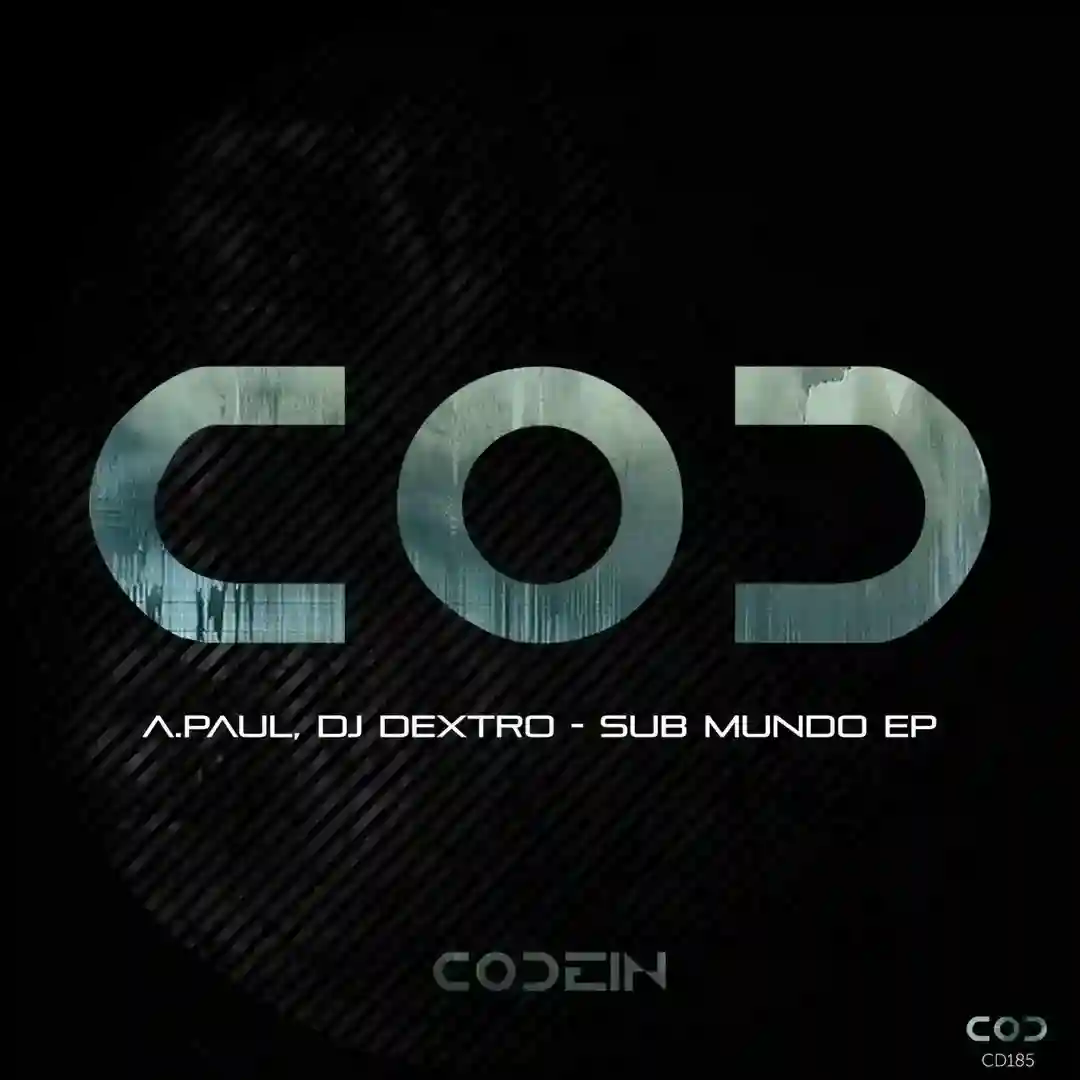 Passagem de Nivel (Original Mix) cover