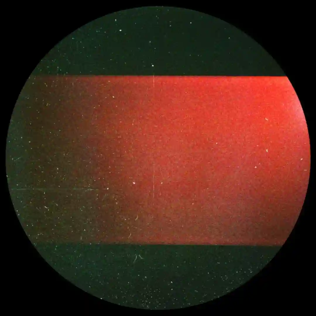 Transmitting: Exotic Forms (Original Mix) cover