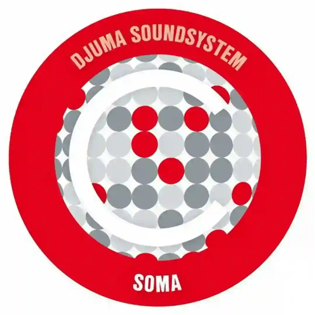 Soma (Armonica Remix) cover