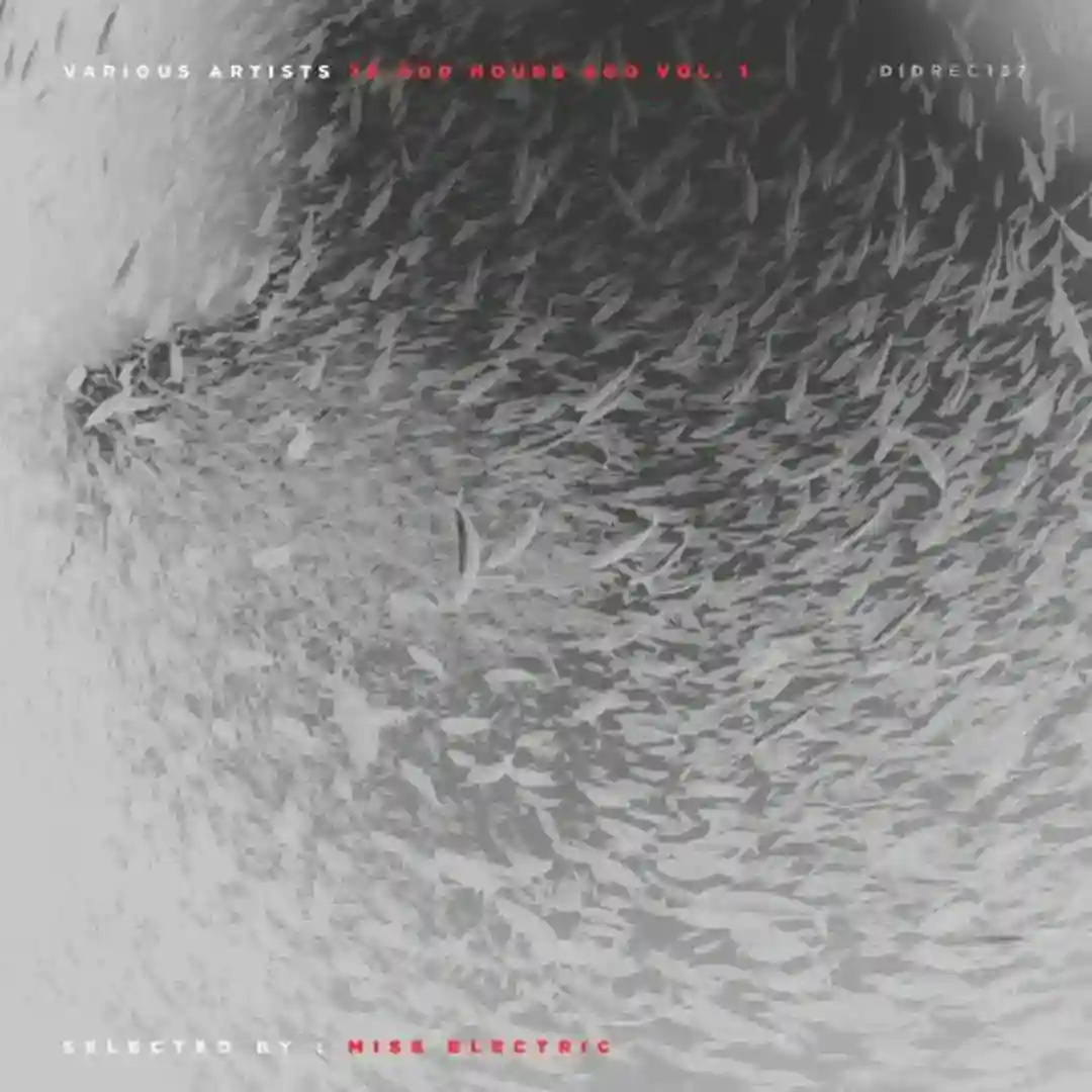 Conniving Bastard cover