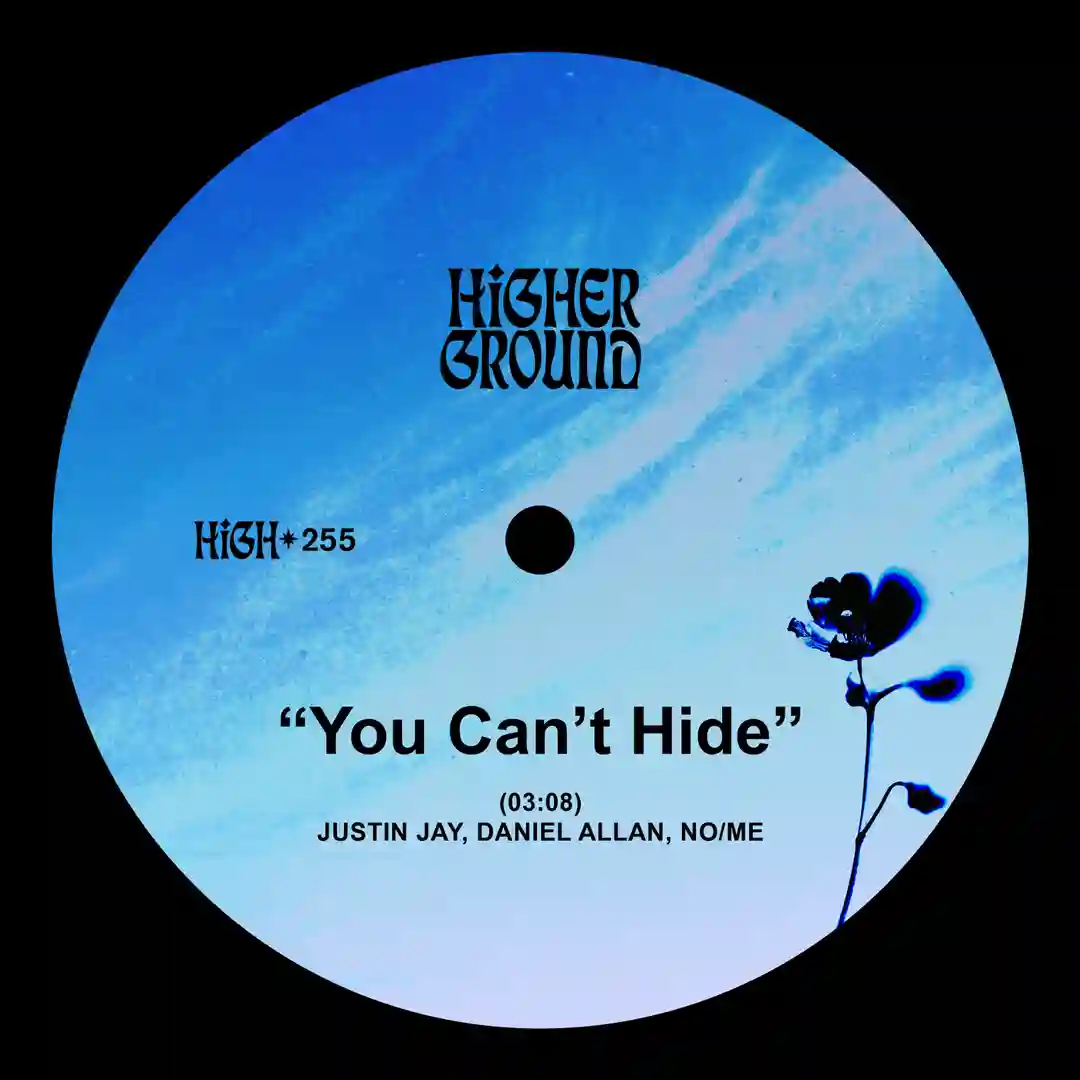 You Can't Hide (Extended) cover