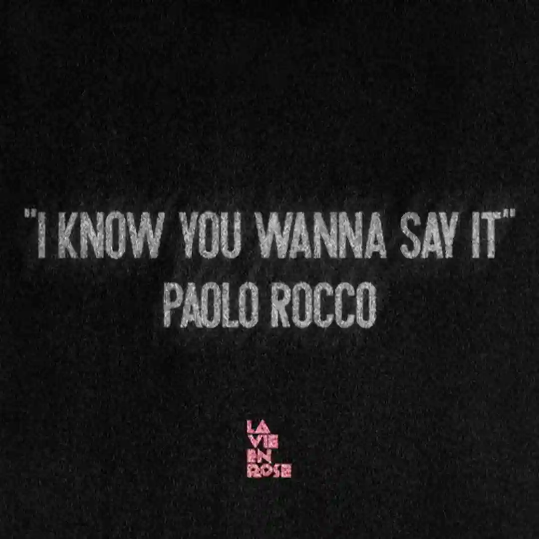 I Know You Wanna Say It (Vox Mix) cover