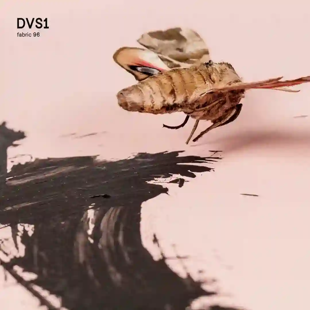 Pseudo V2 cover