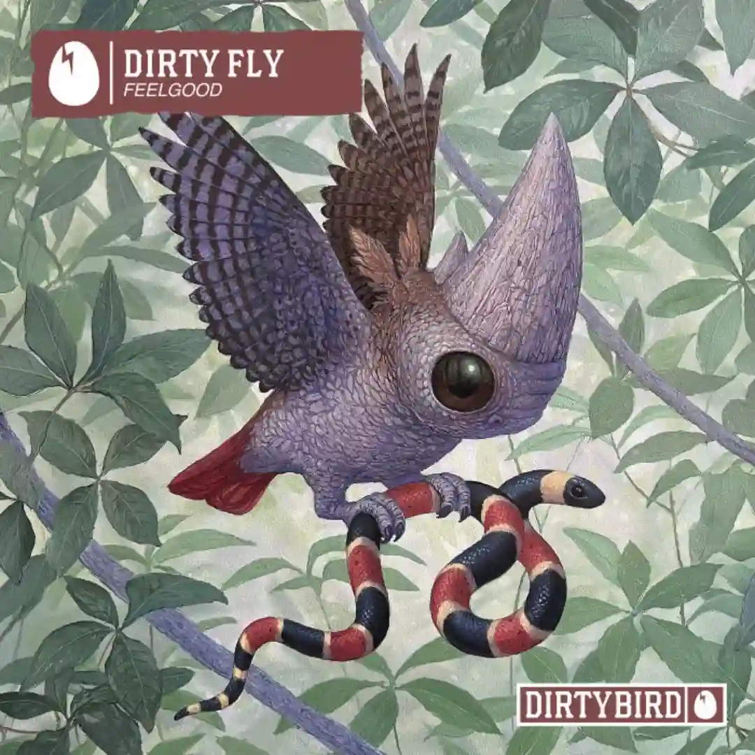 Dirty Fly cover