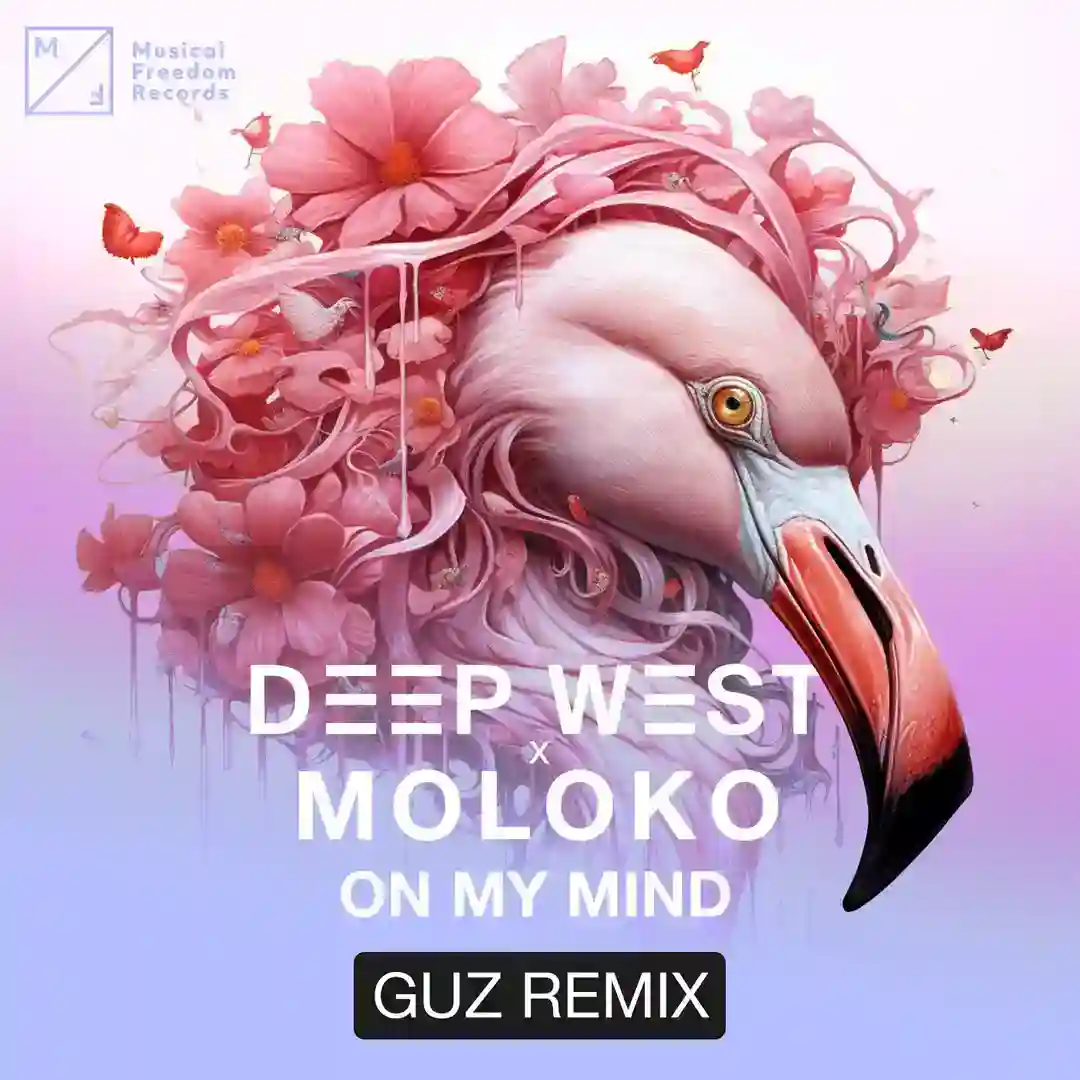 On My Mind (GUZ Remix) (Extended Mix) cover