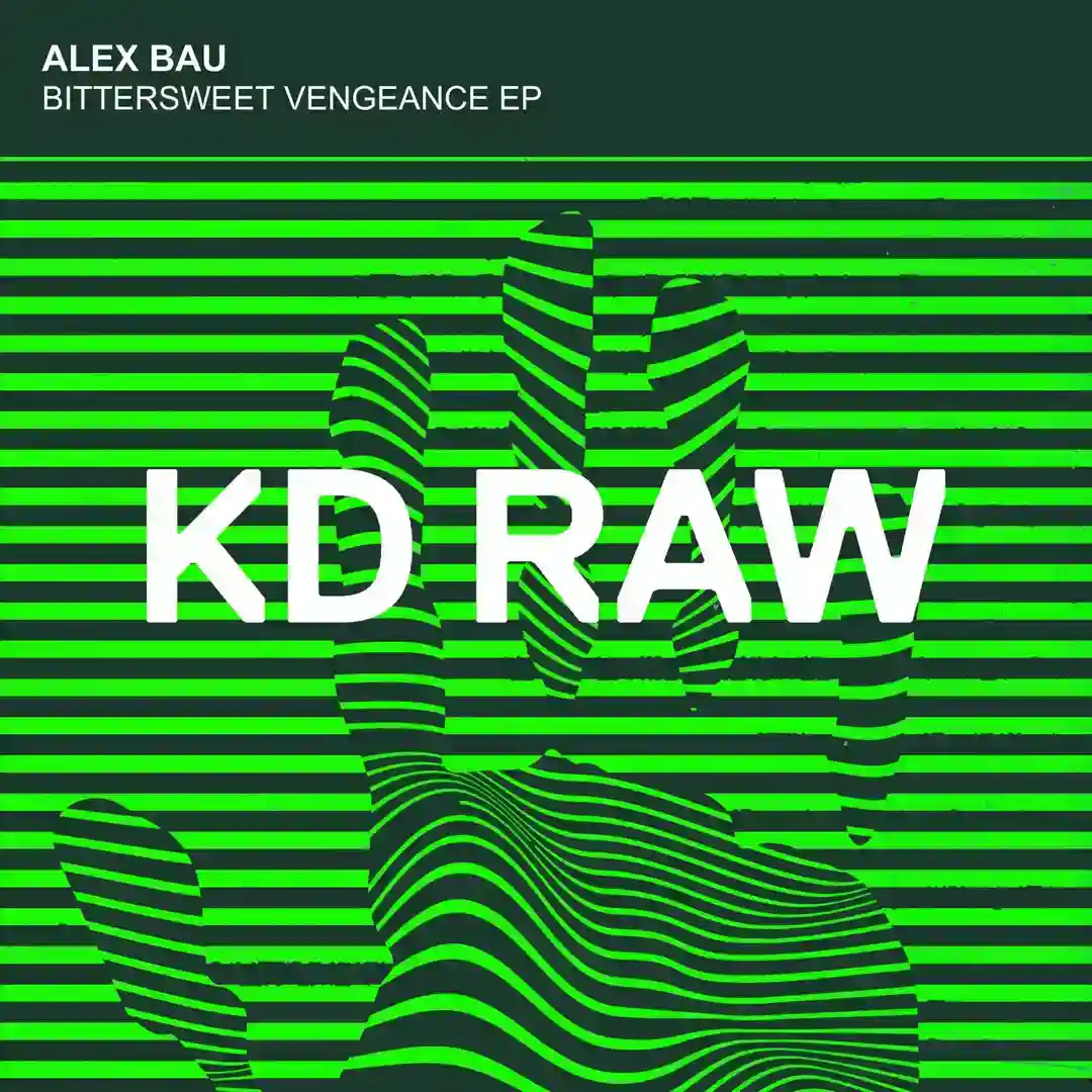 Vengeance (Original Mix) cover