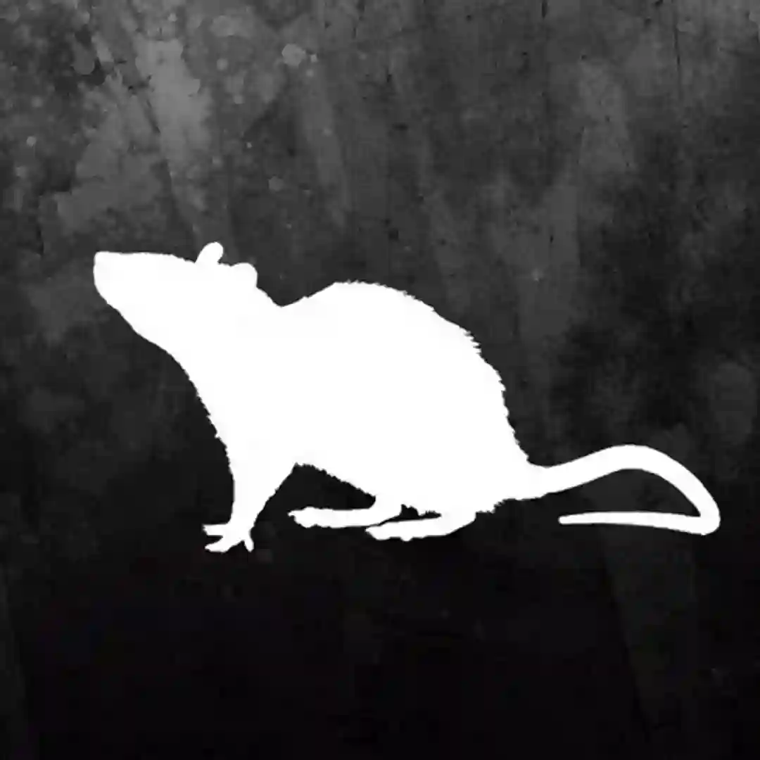 Ground Ep cover