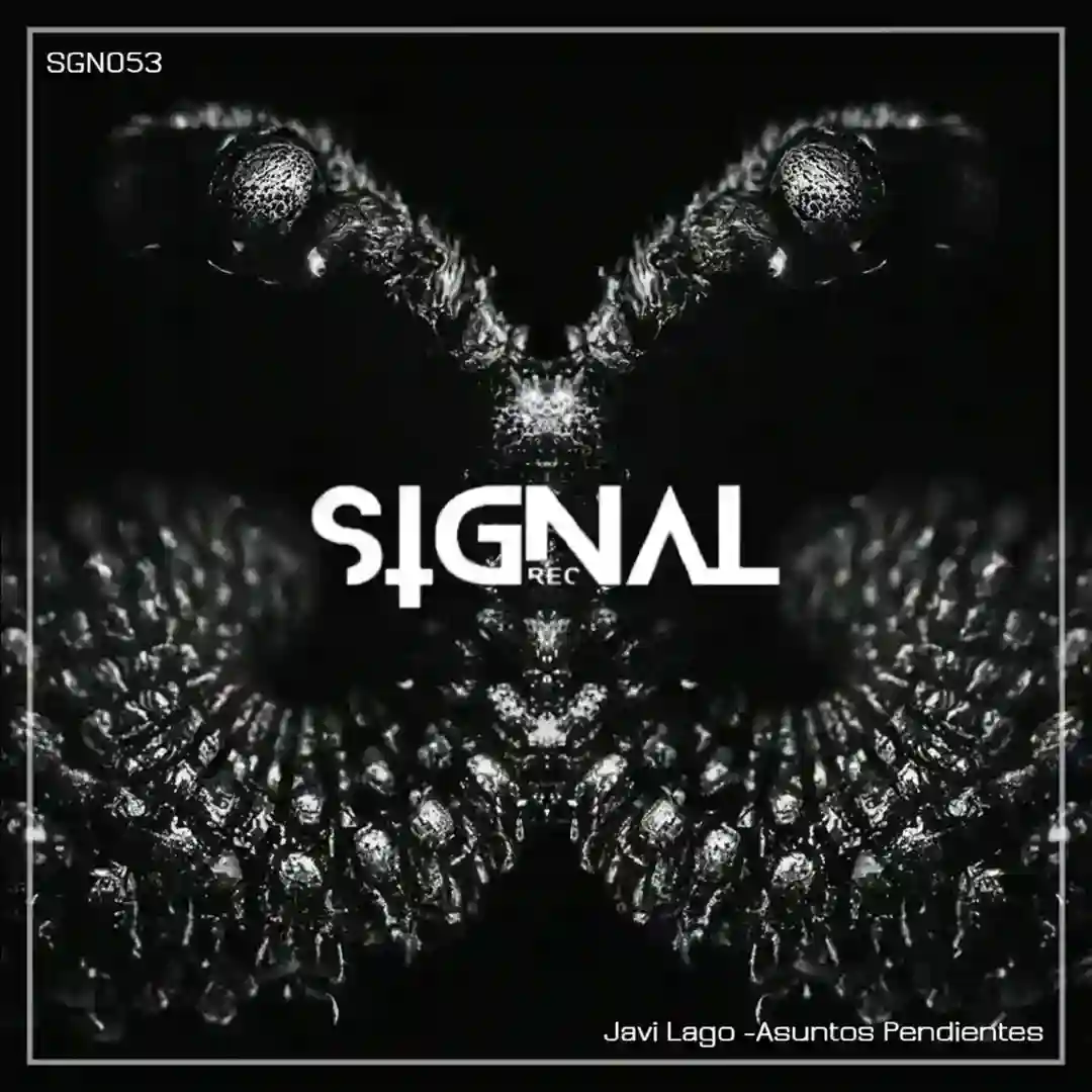 Asuntos Pendientes (Original Mix) cover