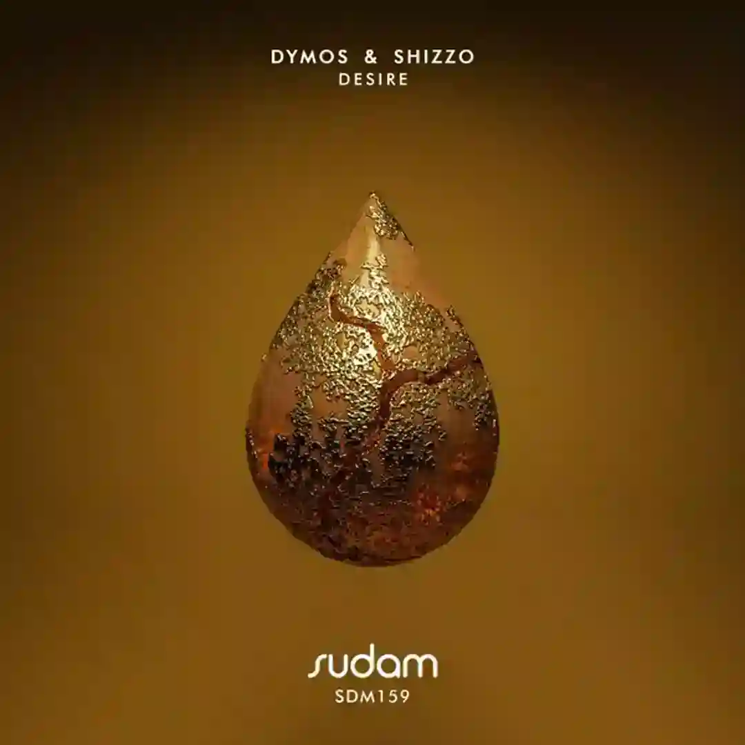 Desire (Original Mix) cover