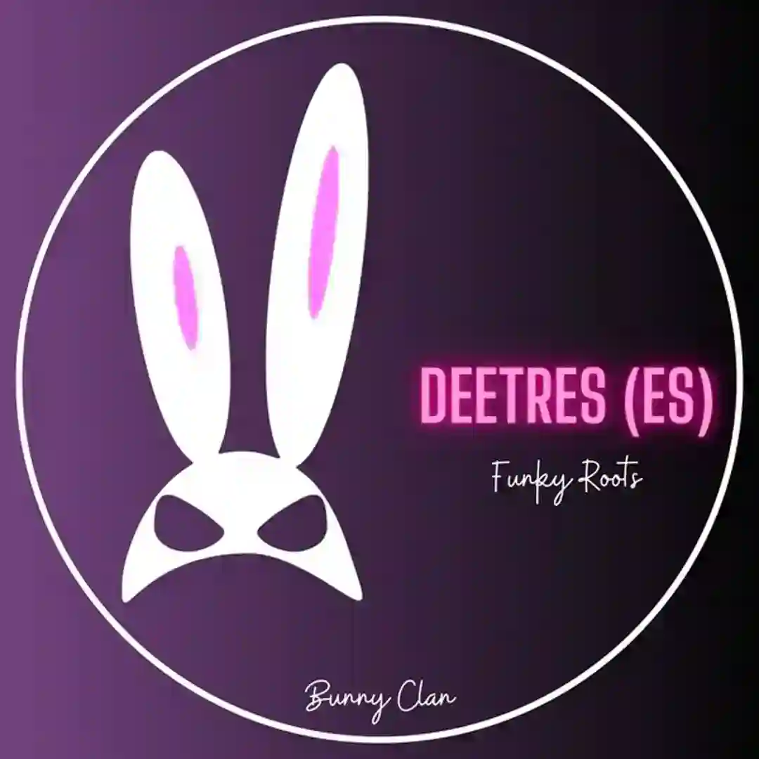 Funky Roots (Original Mix) cover