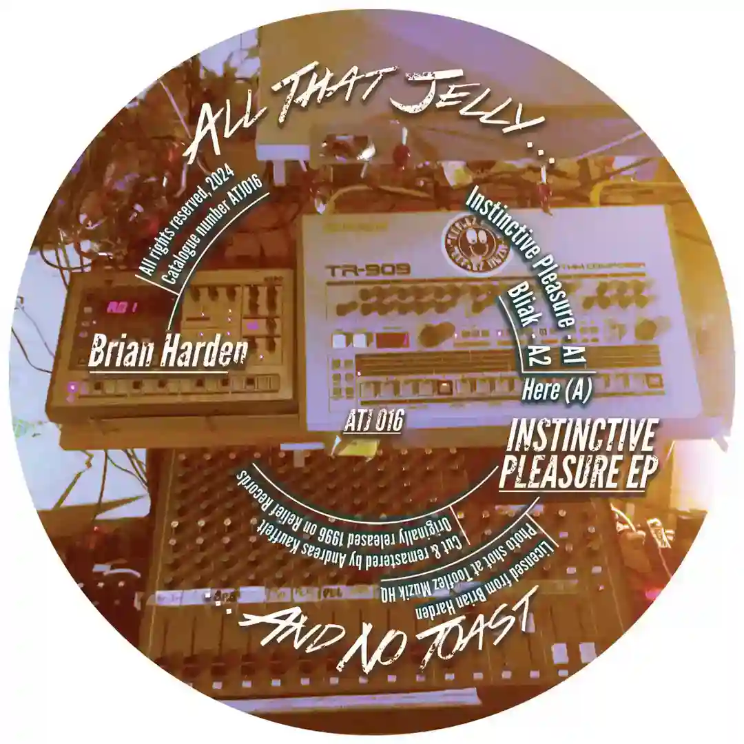 Instinctive Pleasure cover