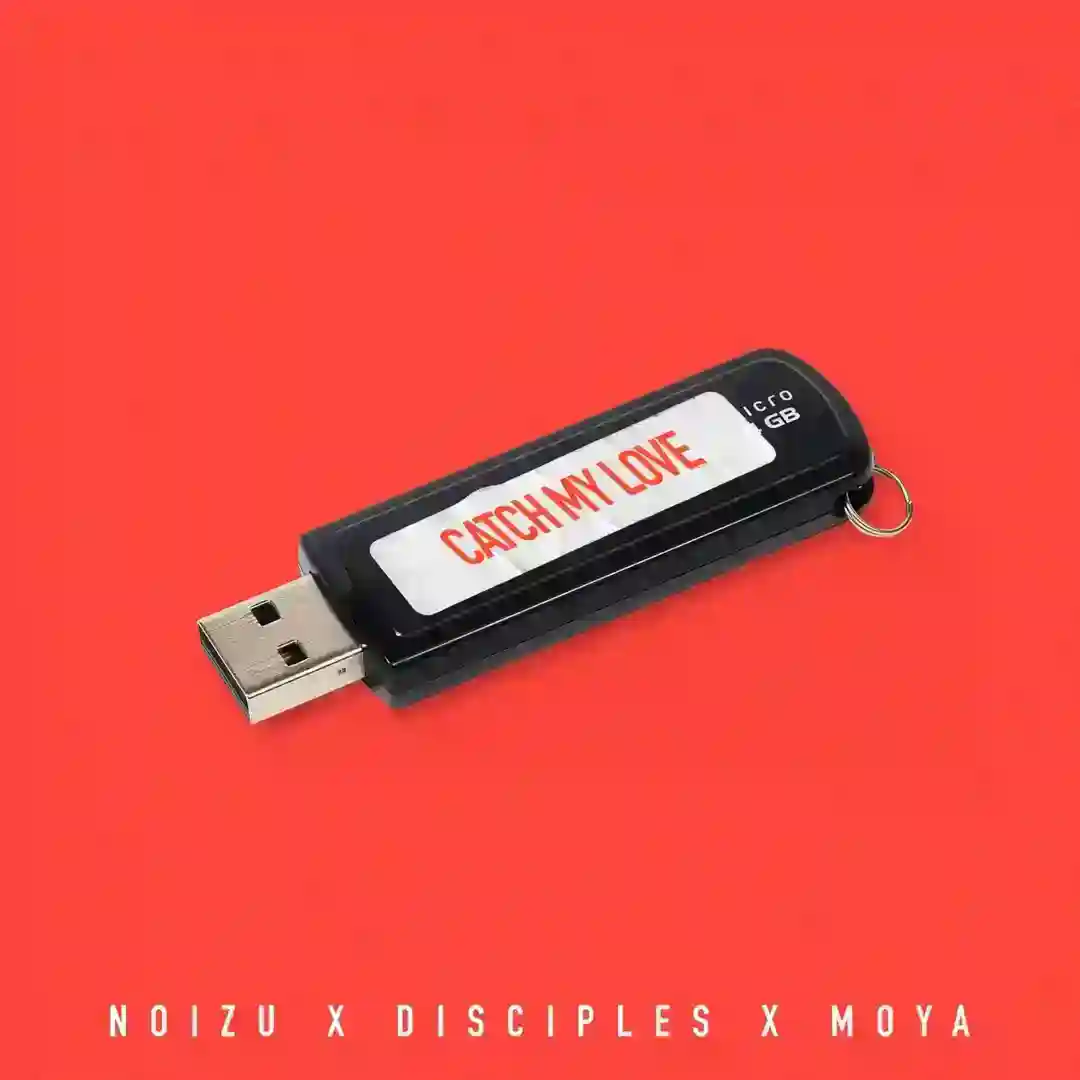 Catch My Love feat. Moya cover