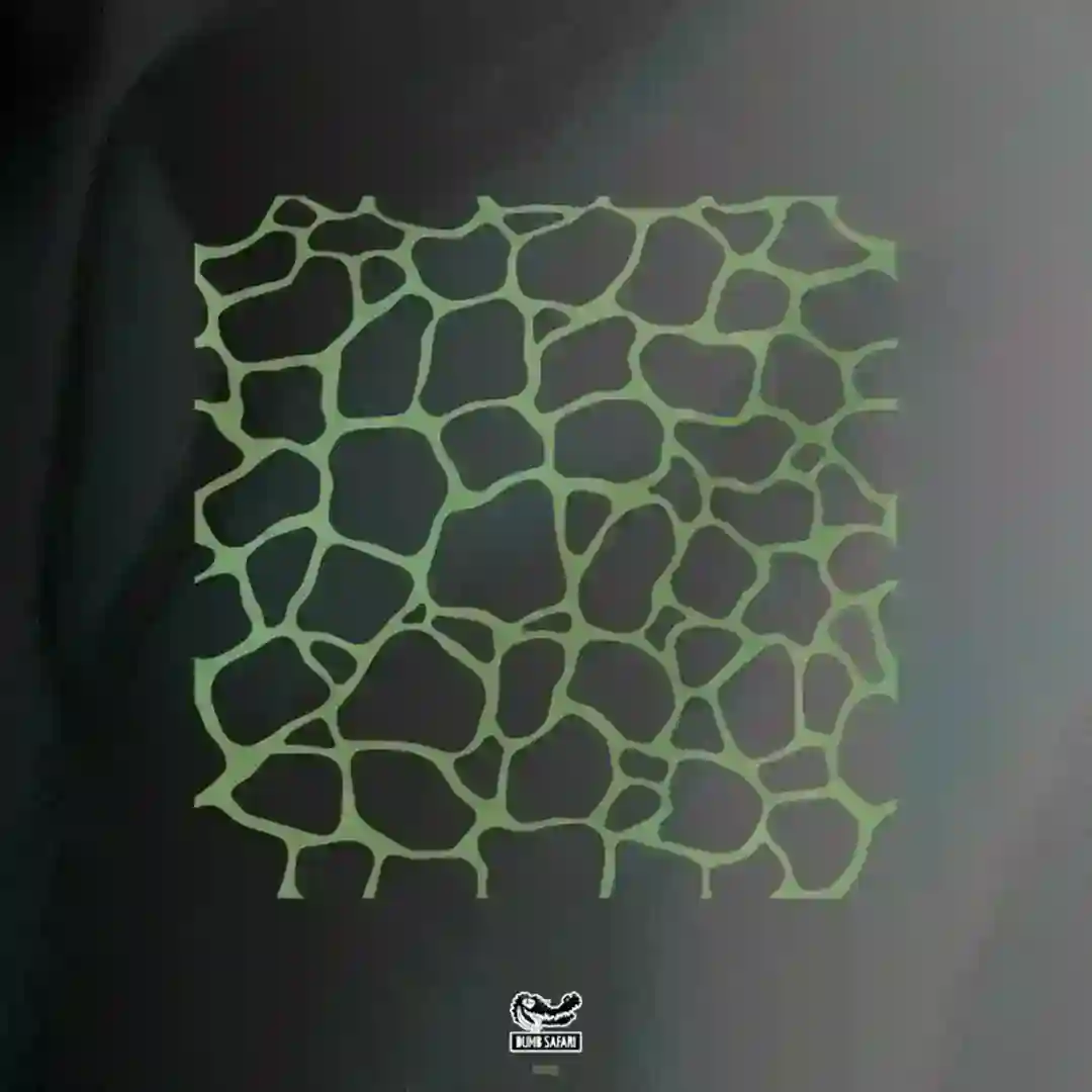 Lemons On Acid cover
