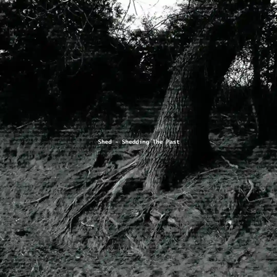 Shedding the Past cover