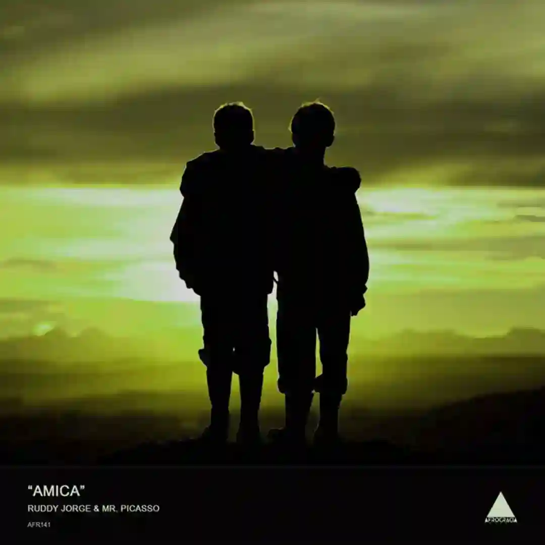 Amica cover