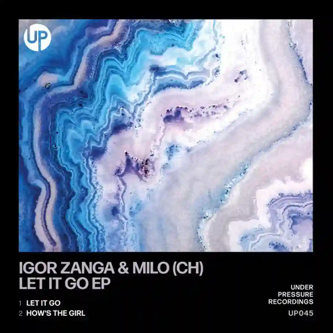Let It Go (Original Mix) cover