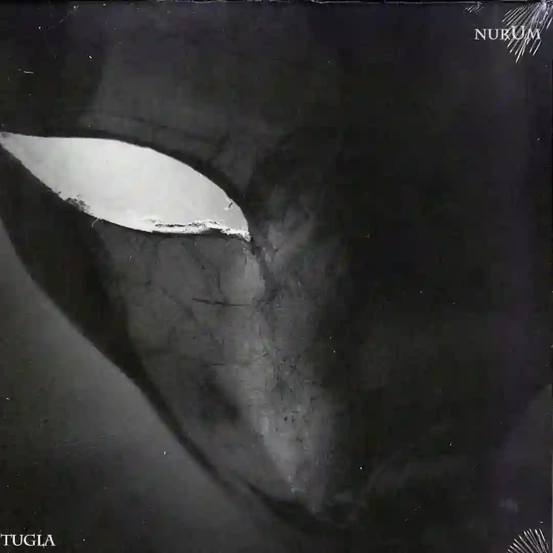 D.O.L. cover