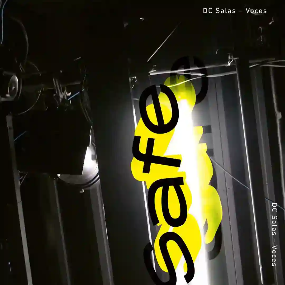 Safe Pace cover