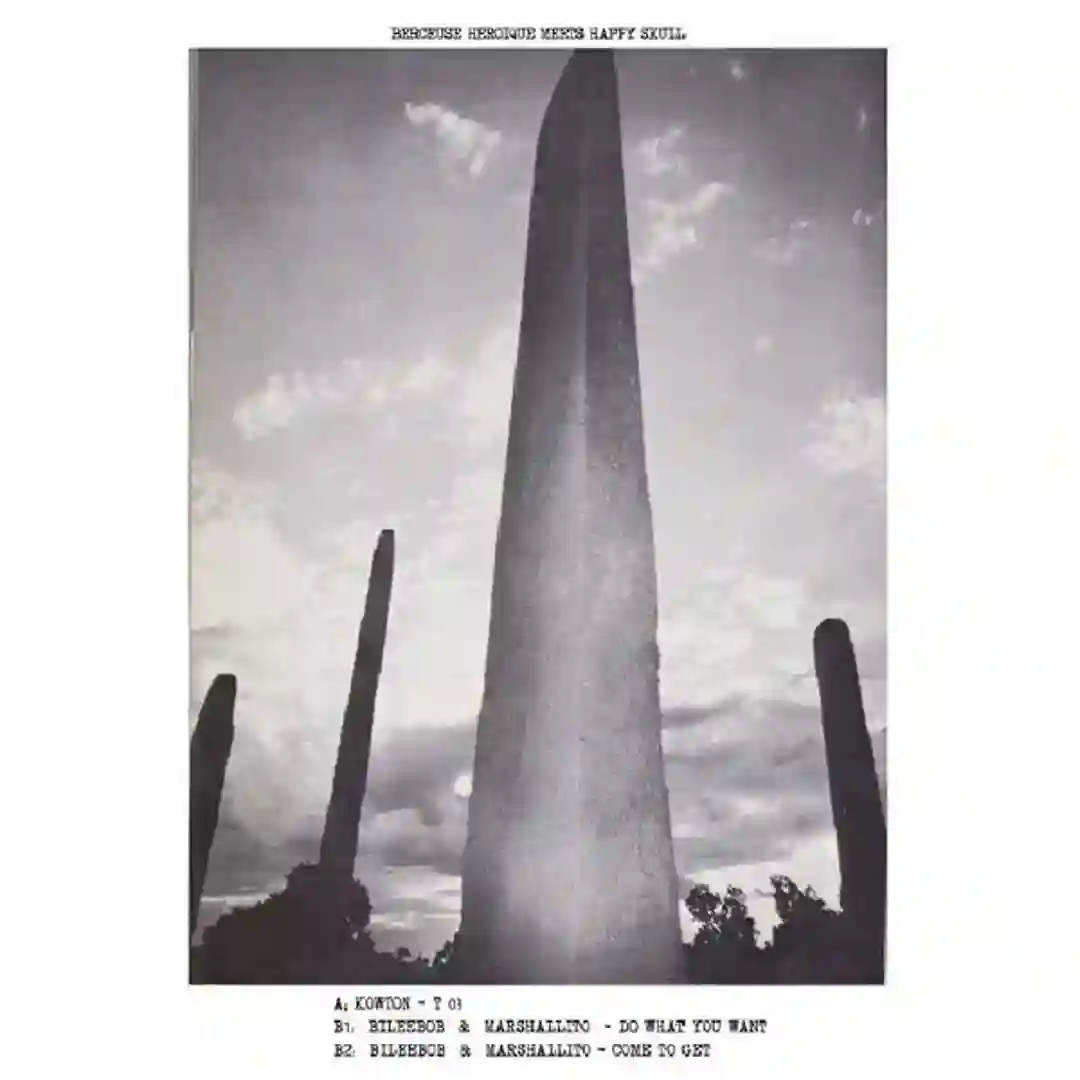 T 03 cover
