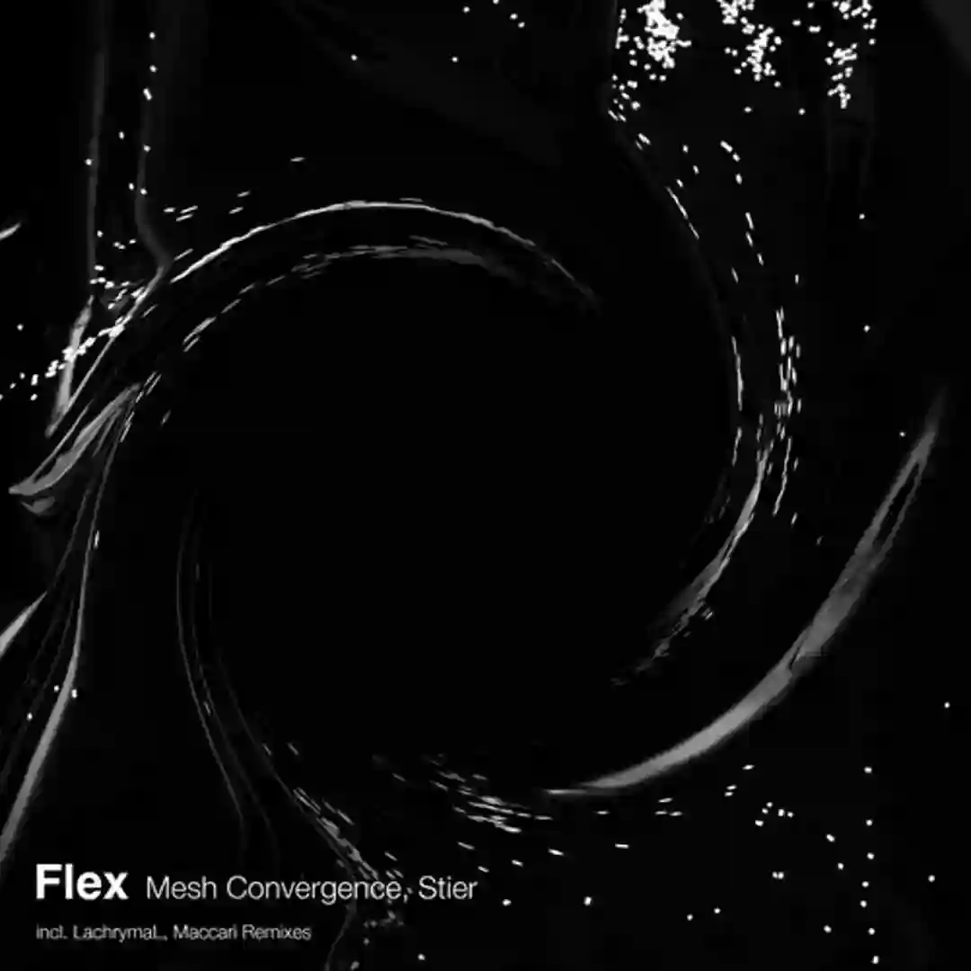 Flex 0.4 (Original Mix) cover
