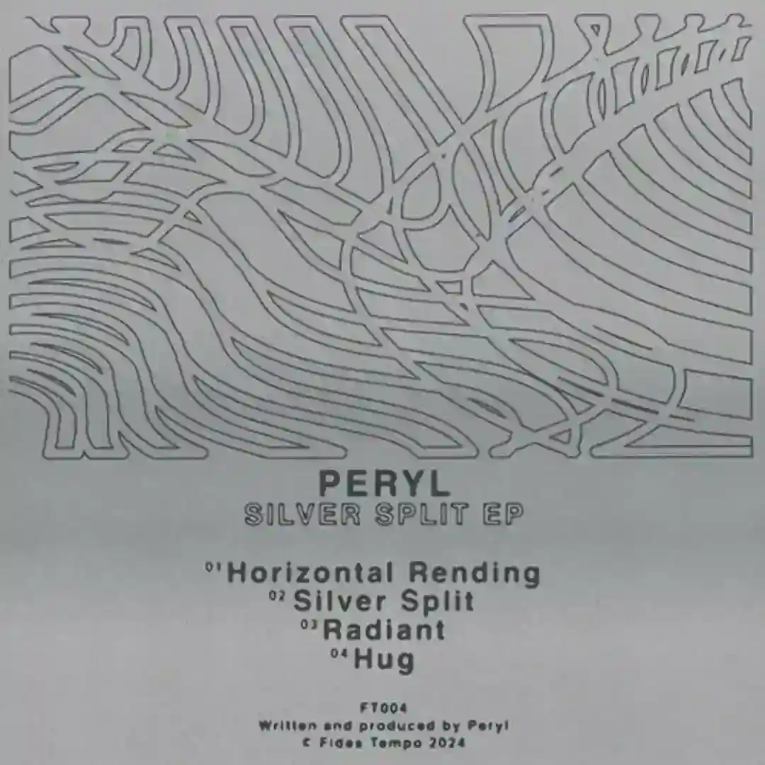 Silver Split cover