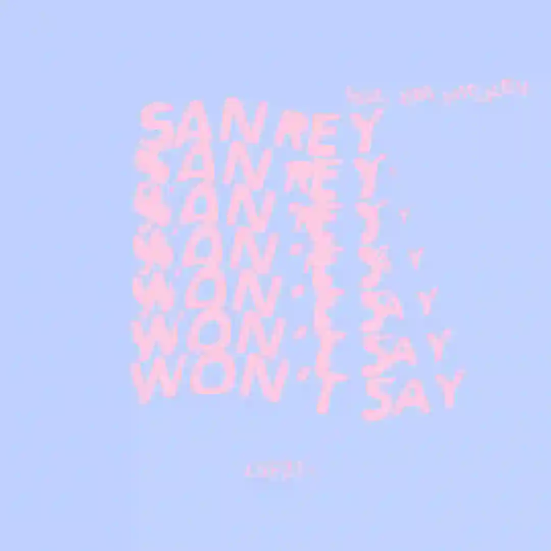 Won't Say cover