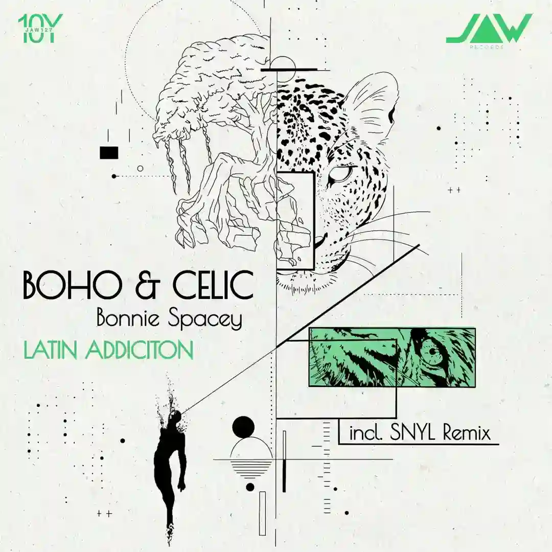 Latin Addiction (Original Mix) cover