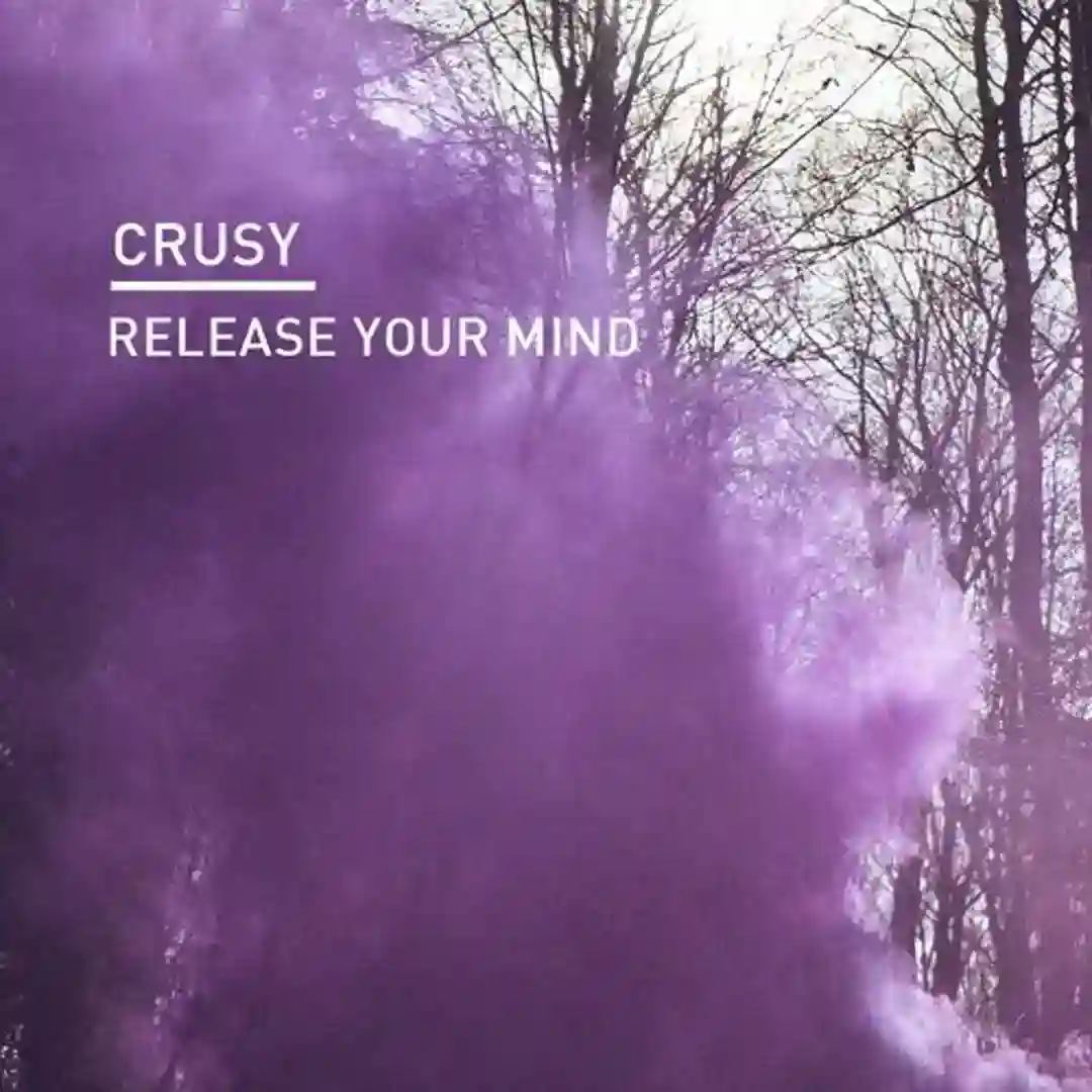 Release Your Mind (Oscar L Grooves Remix) cover