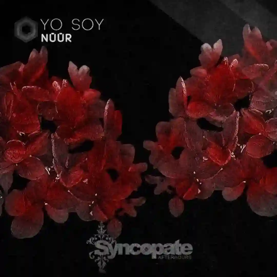 Yo Soy (Original Mix) cover