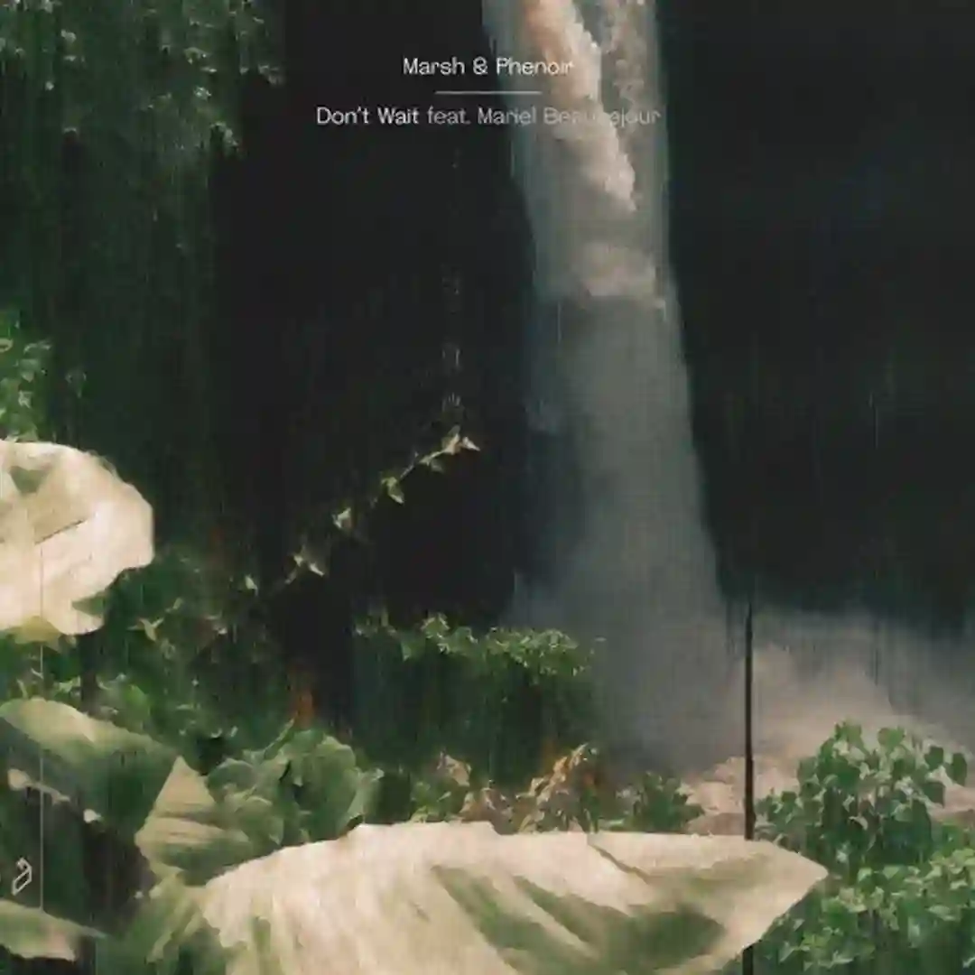 Lailonie (Extended Mix) cover