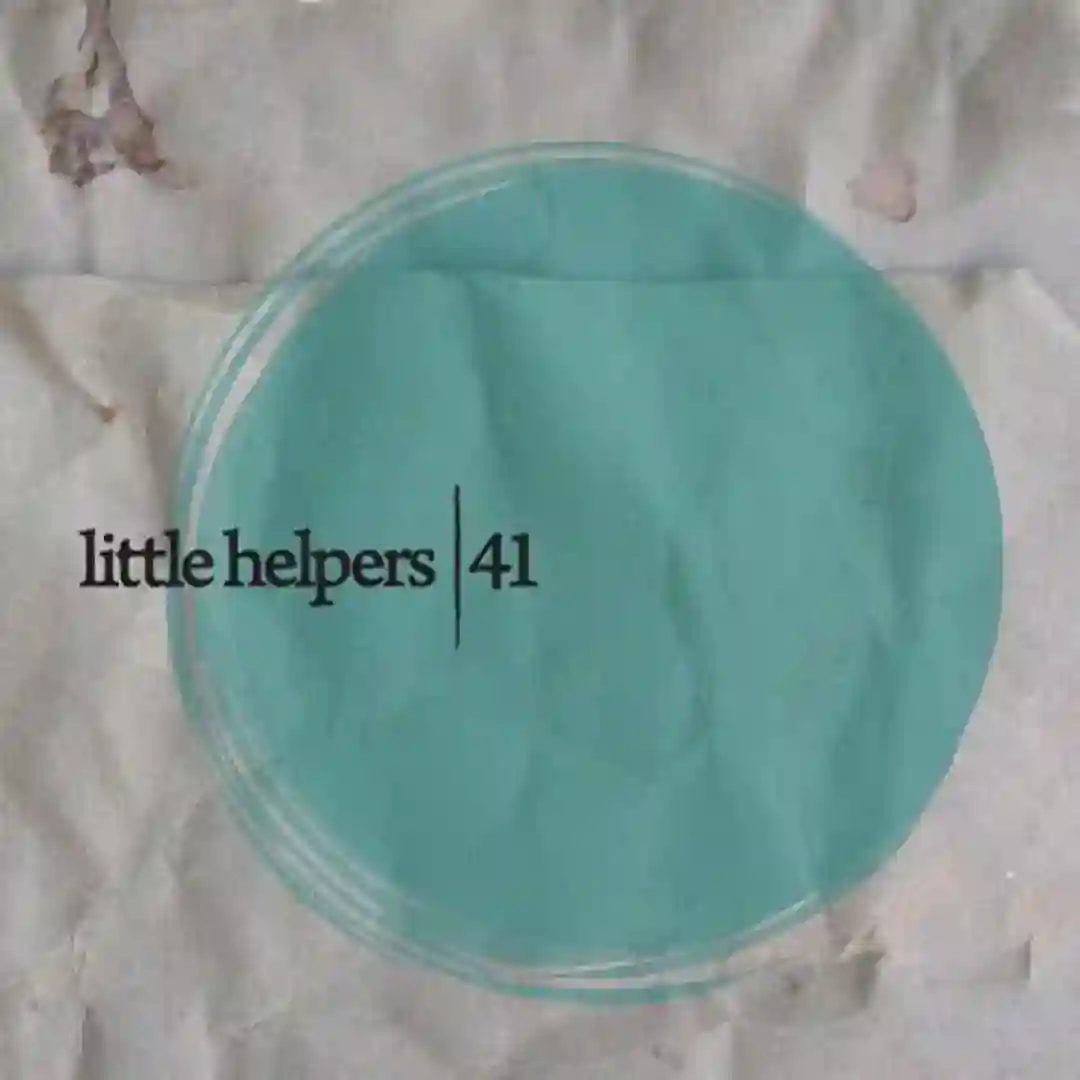 Little Helper 41-9 cover