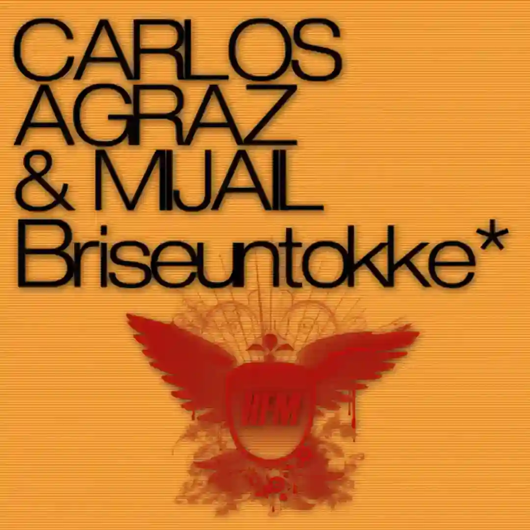 Briseuntokke cover