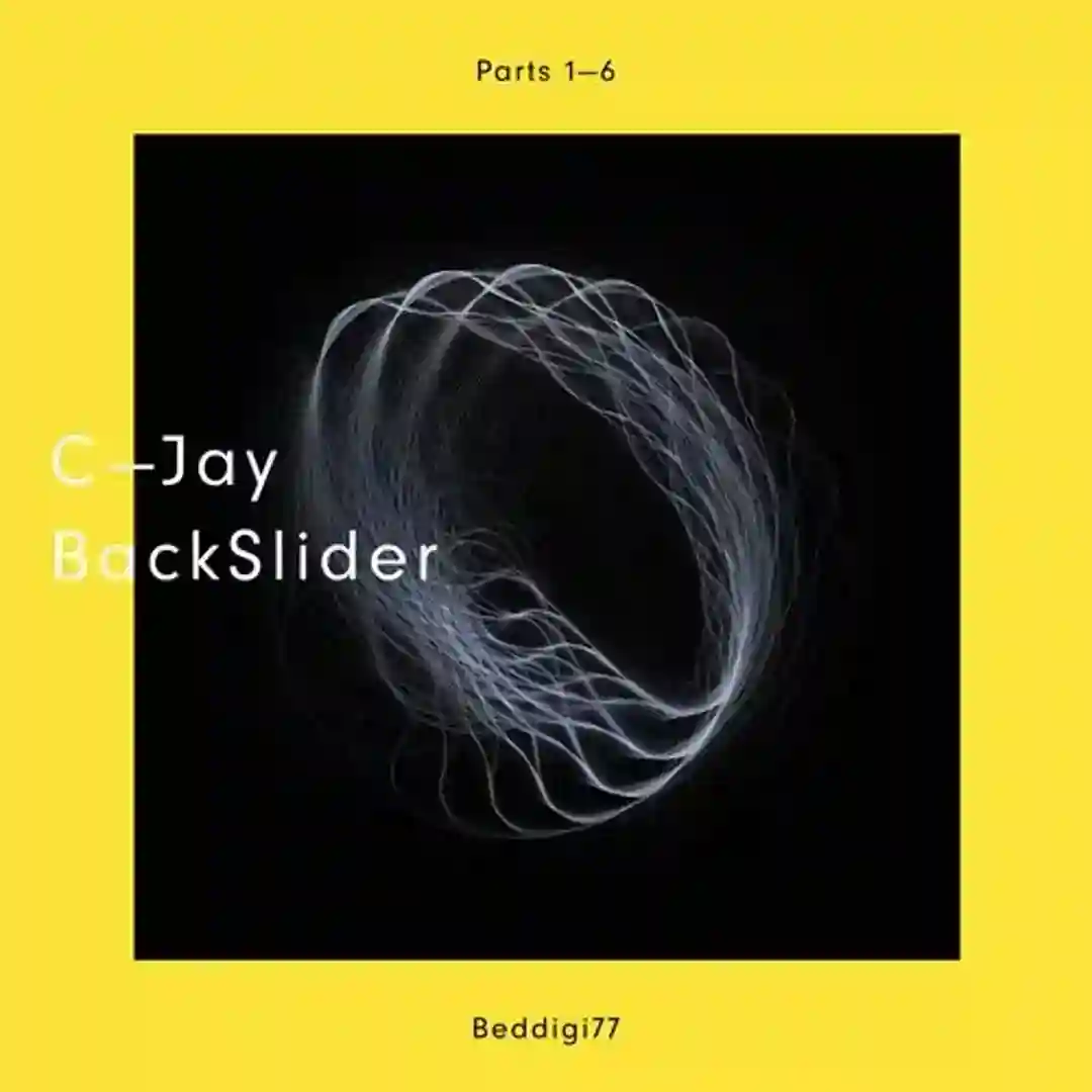 BackSlider (Part 1) cover