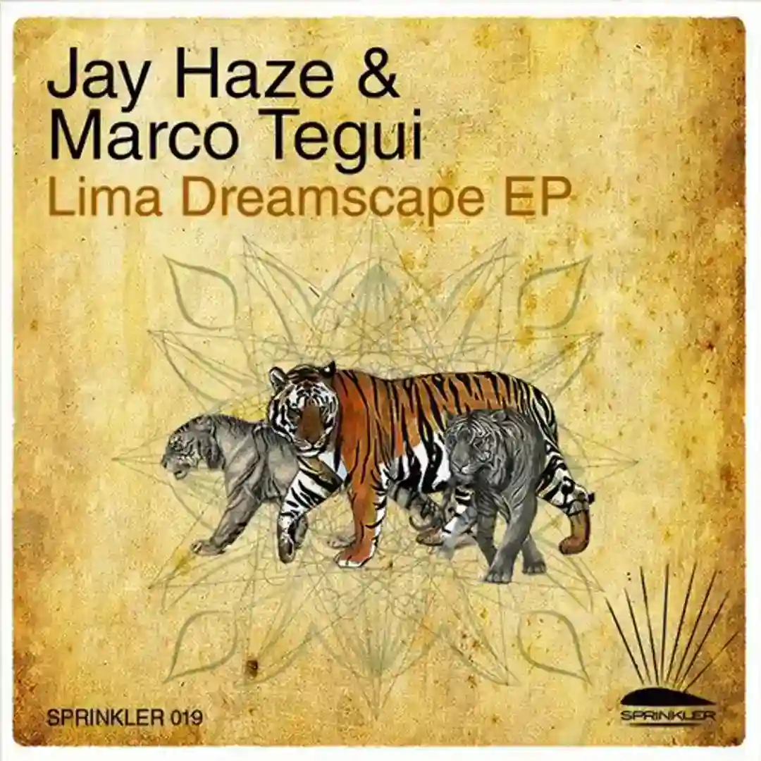 Hazey Night (Original Mix) cover