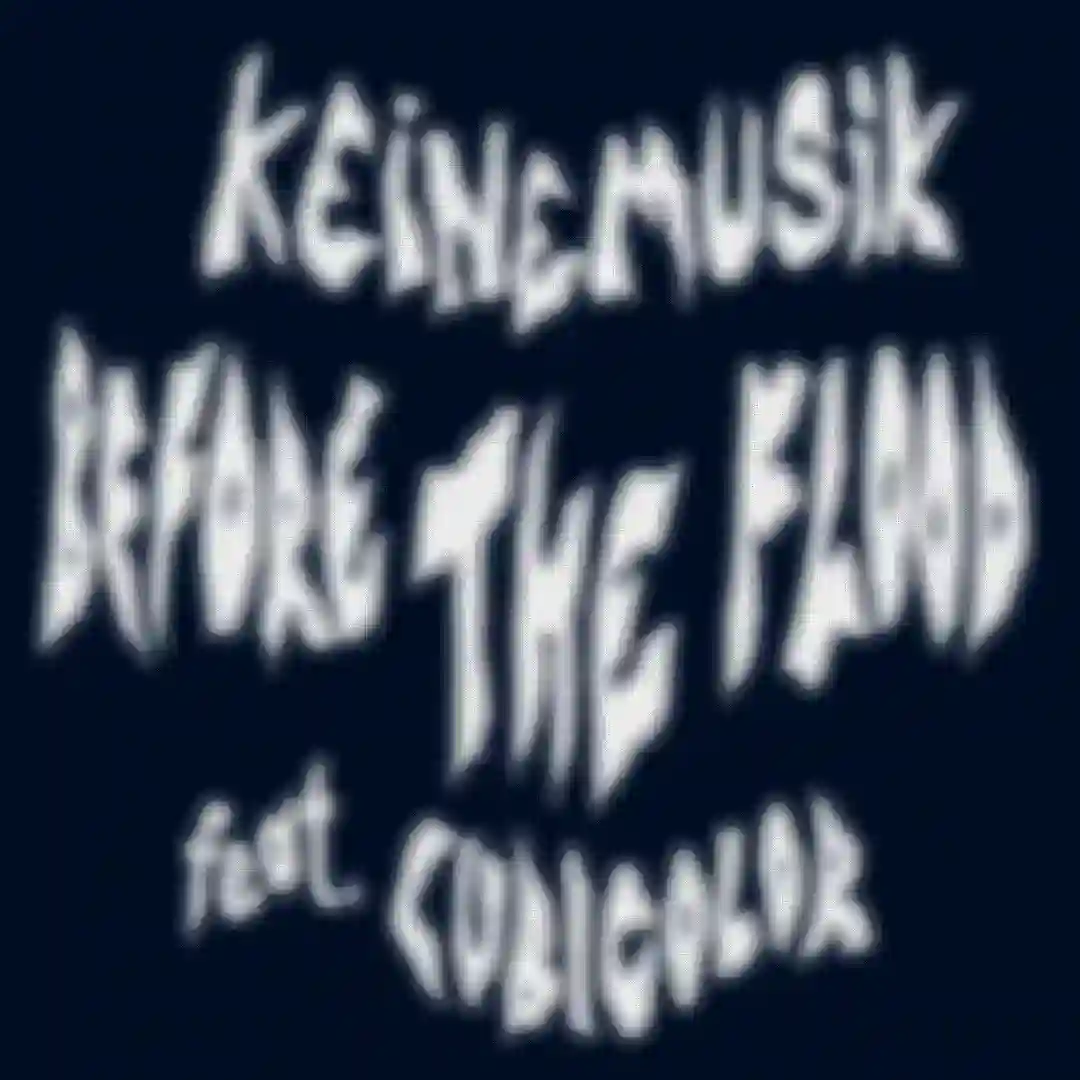 Before The Flood cover