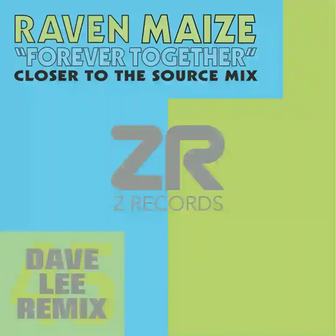 Forever Together (Closer To The Source Mix) cover