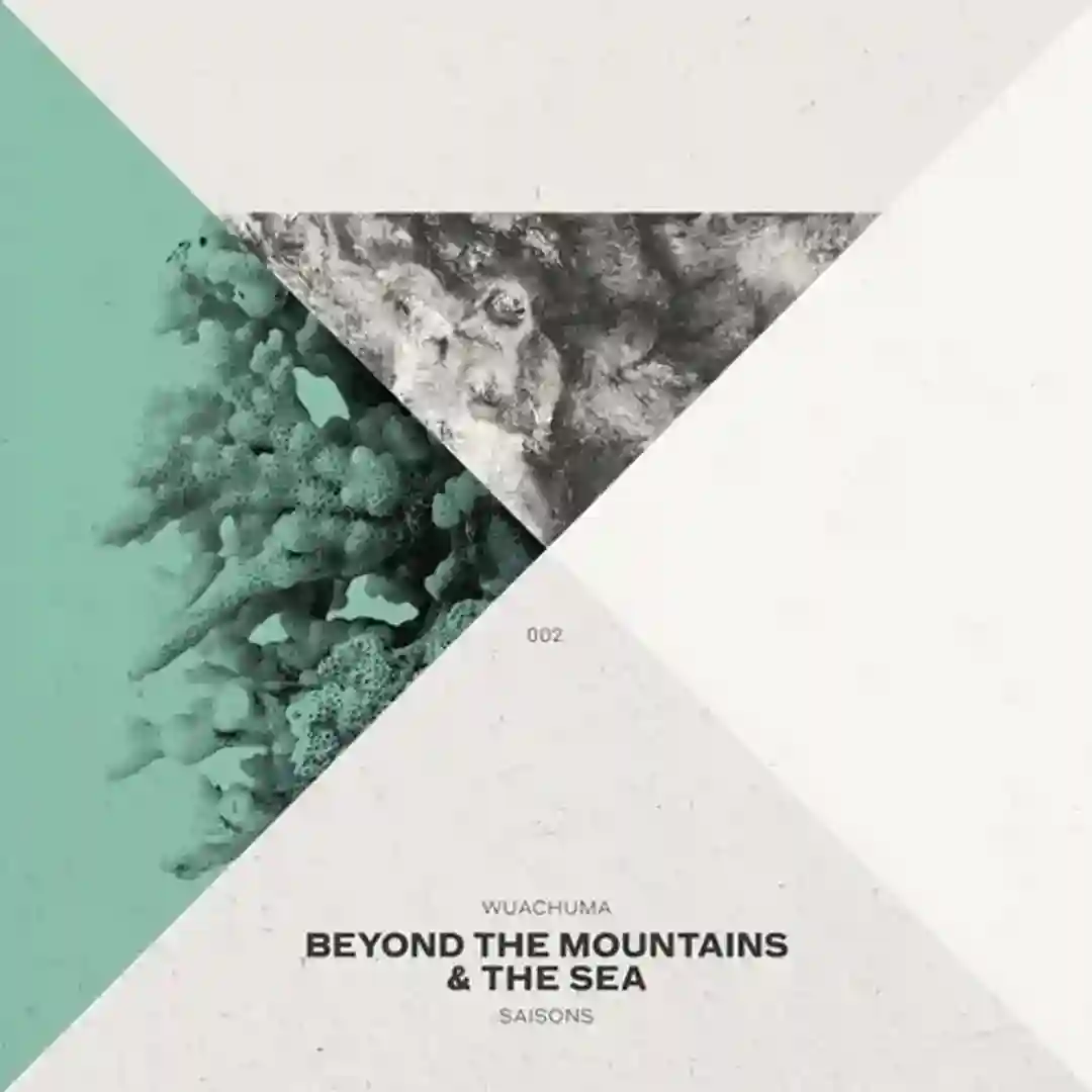 Beyond The Mountains & The Sea cover