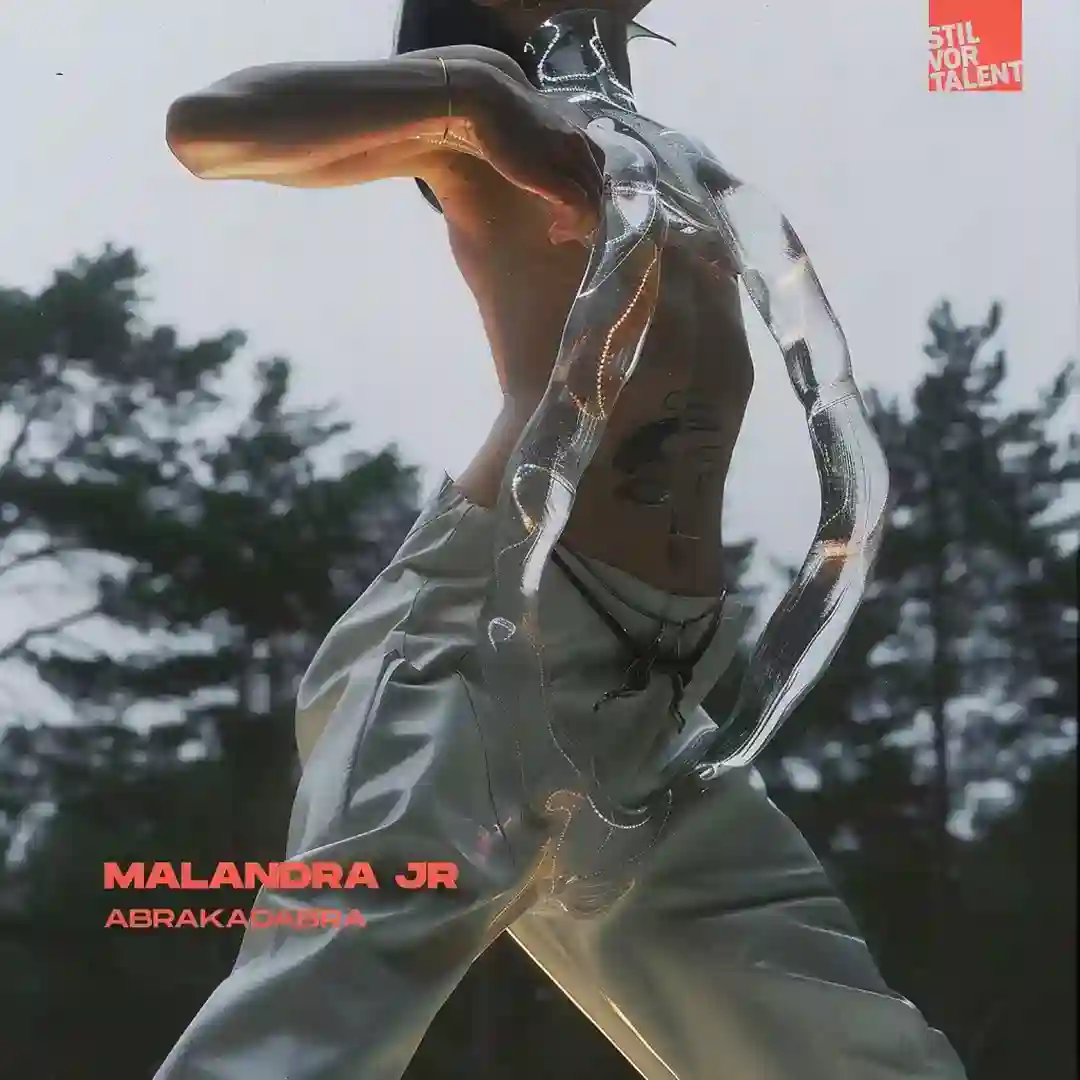 Abrakadabra (Original Mix) cover