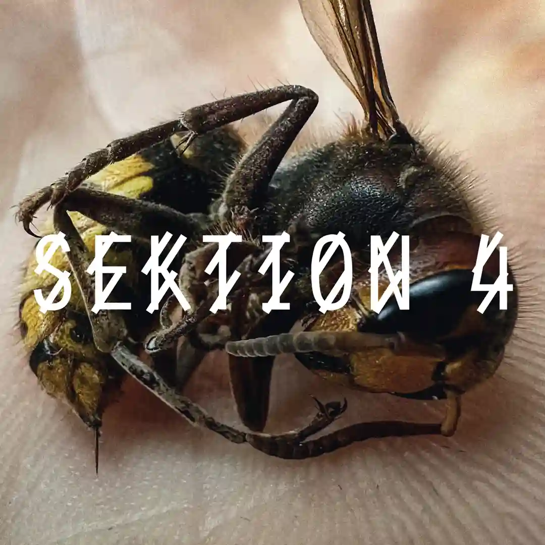 Faded Generation (Original Mix) cover