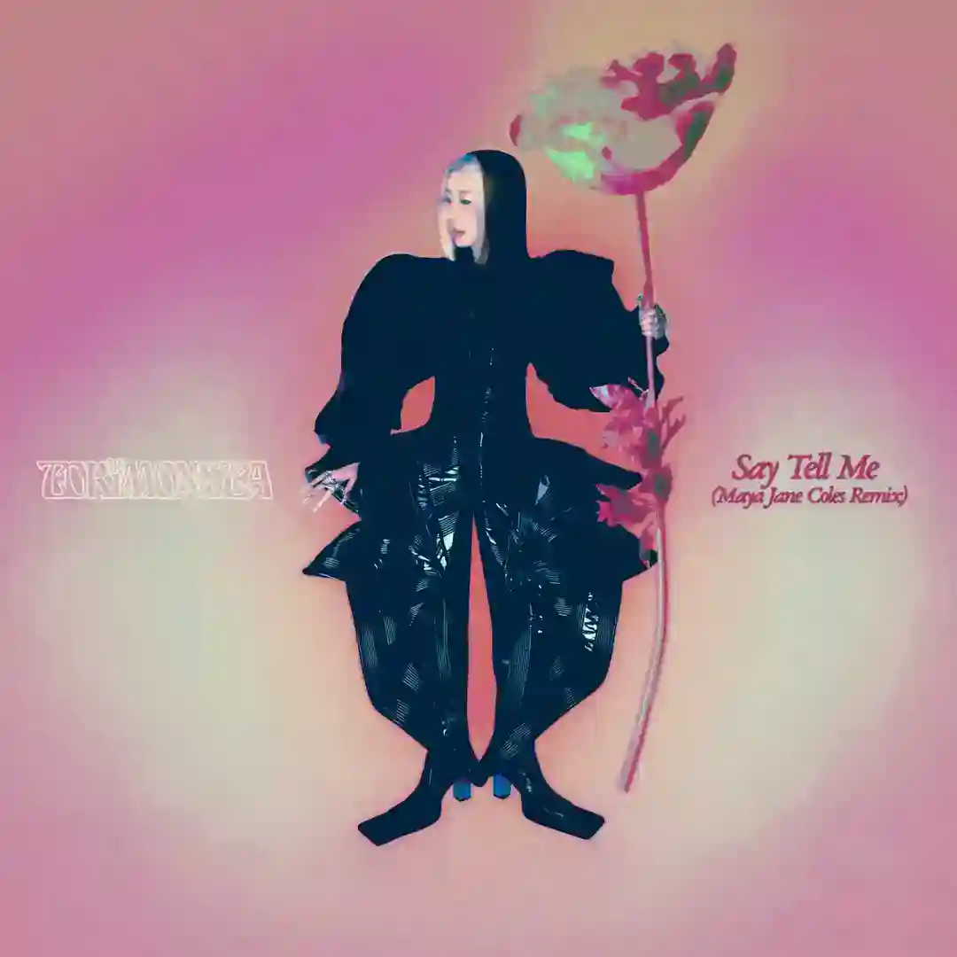 Say Tell Me (Maya Jane Coles Remix) cover