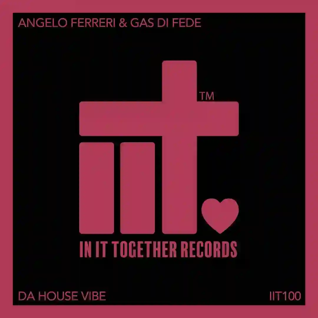 Da House Vibe (Original Mix) cover