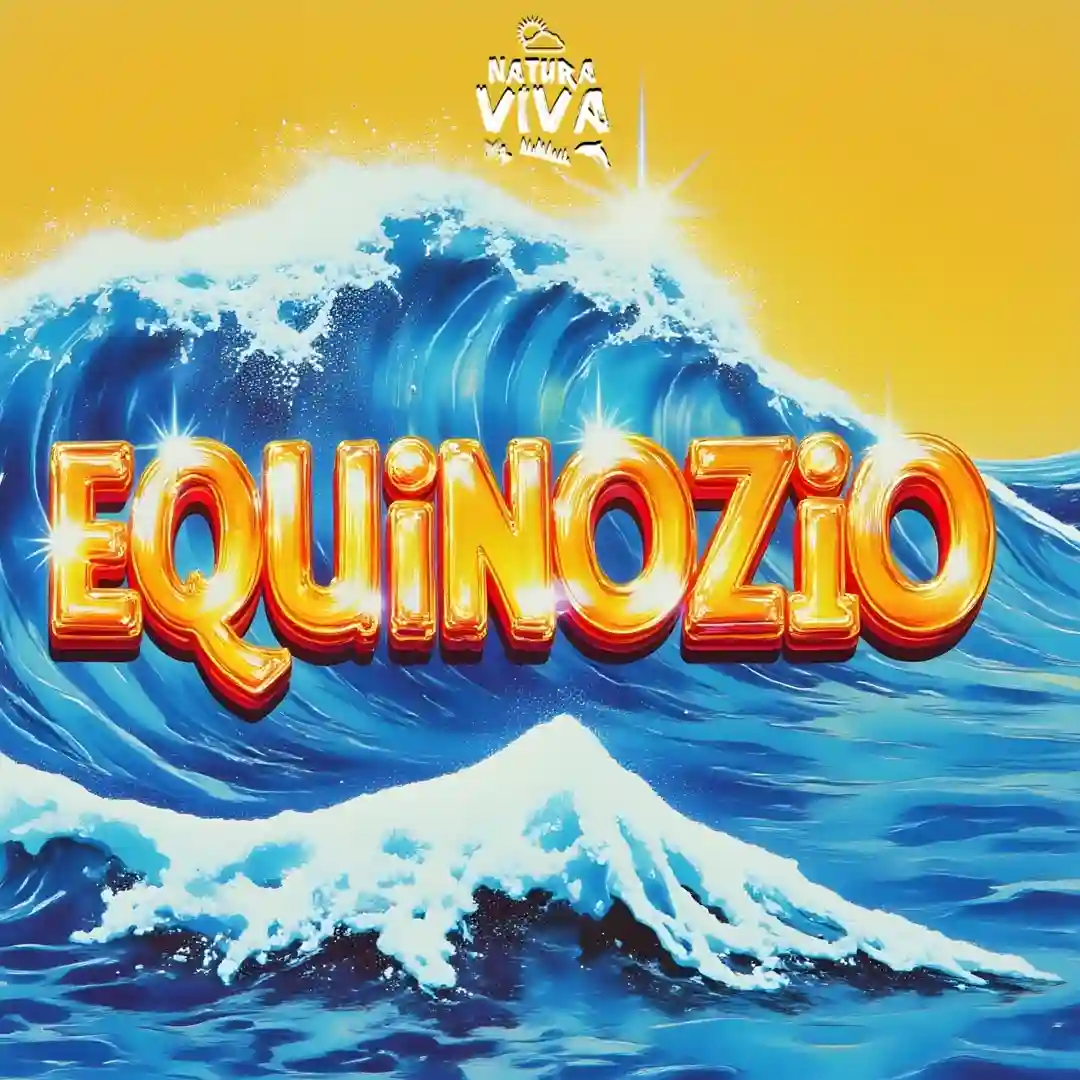 Vai Com Tudo (Original mix) cover