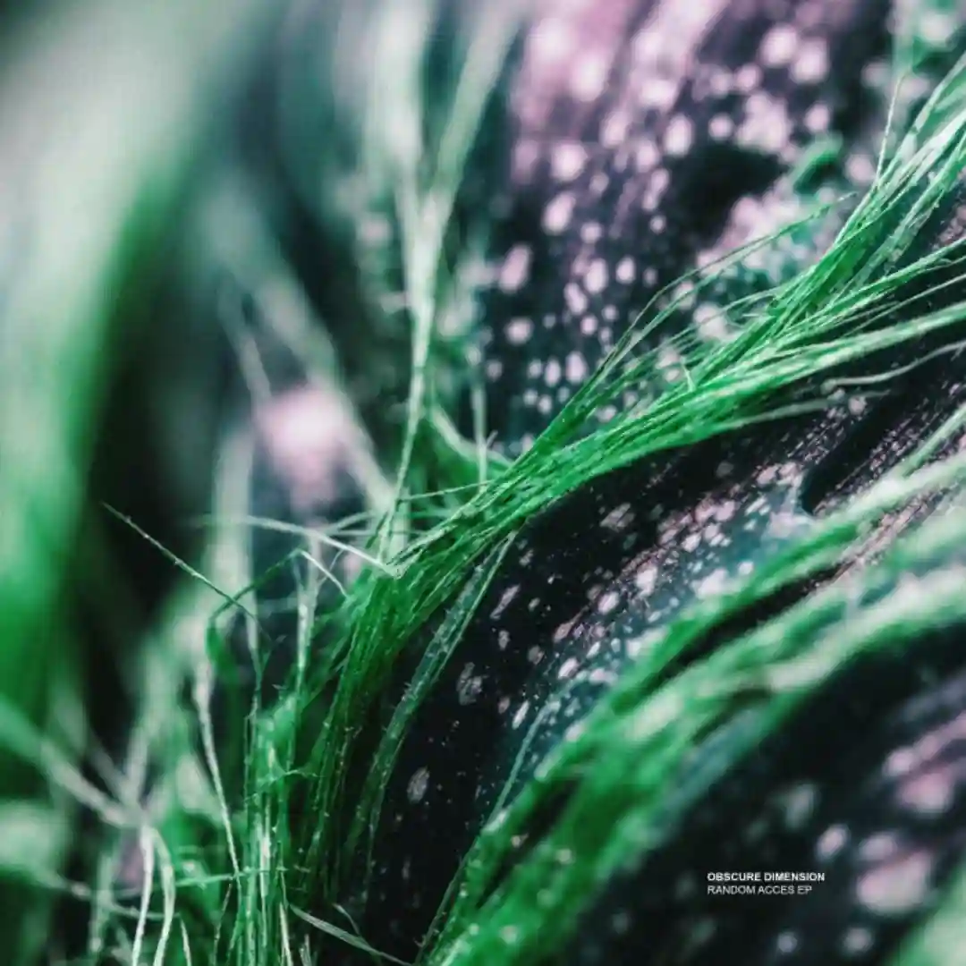 CLK (Original Mix) cover